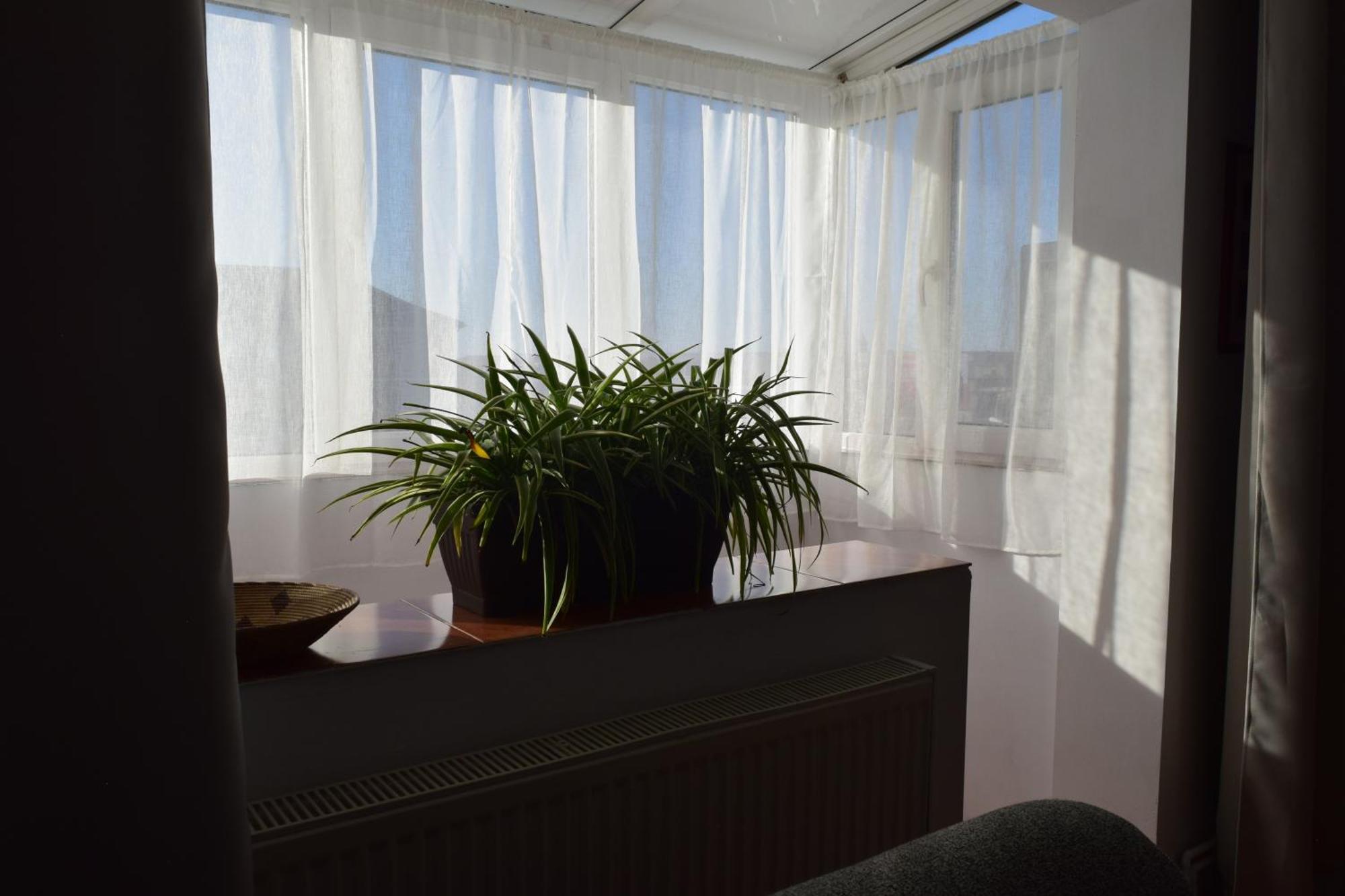 Apartament Simina Timisoara Luaran gambar
